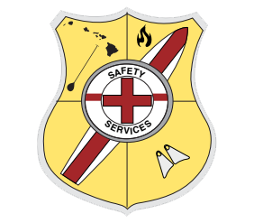Safety Services USA
